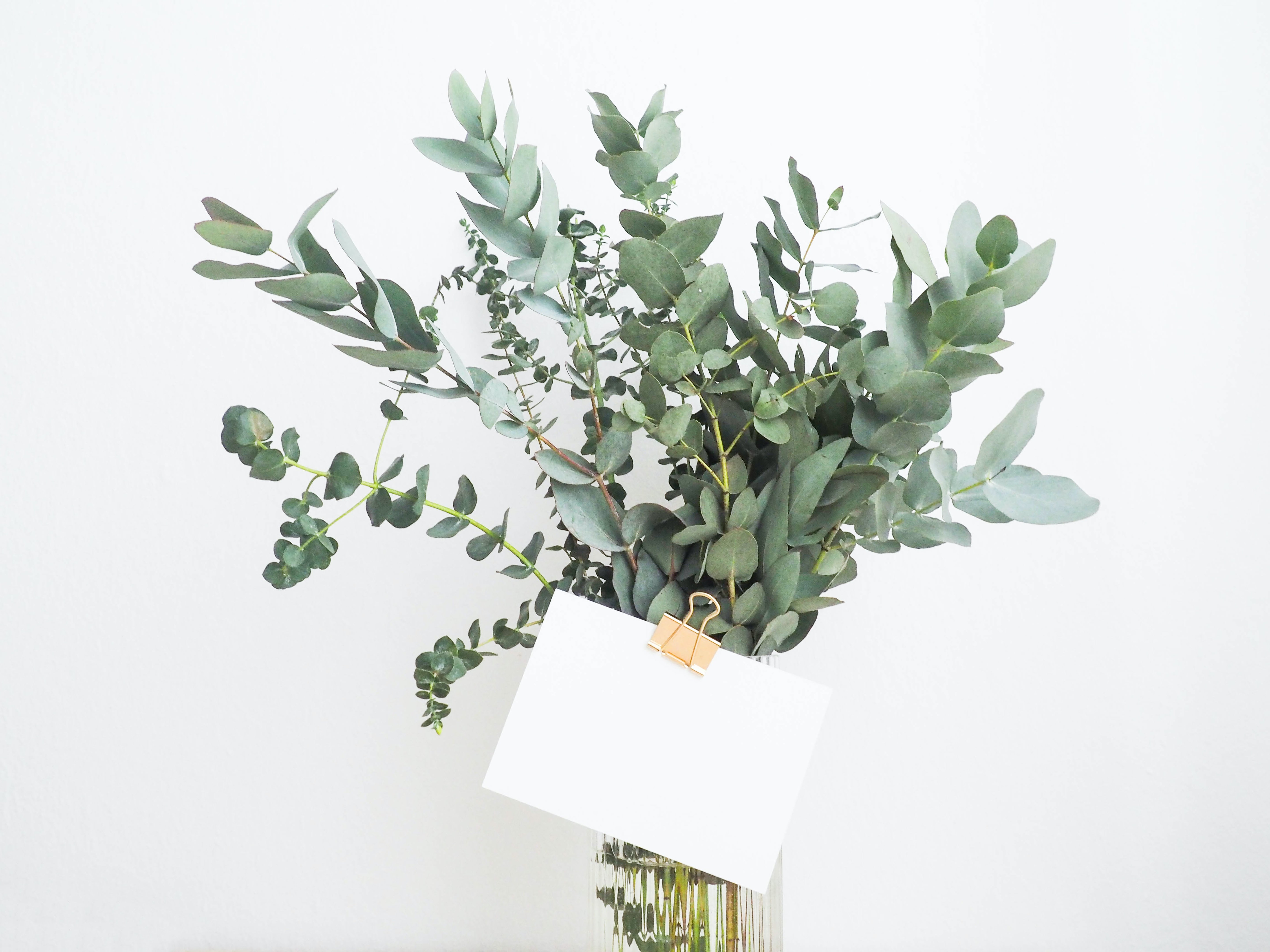 La logothérapie : une quête de sens pour une existence épanouie 🌿✨