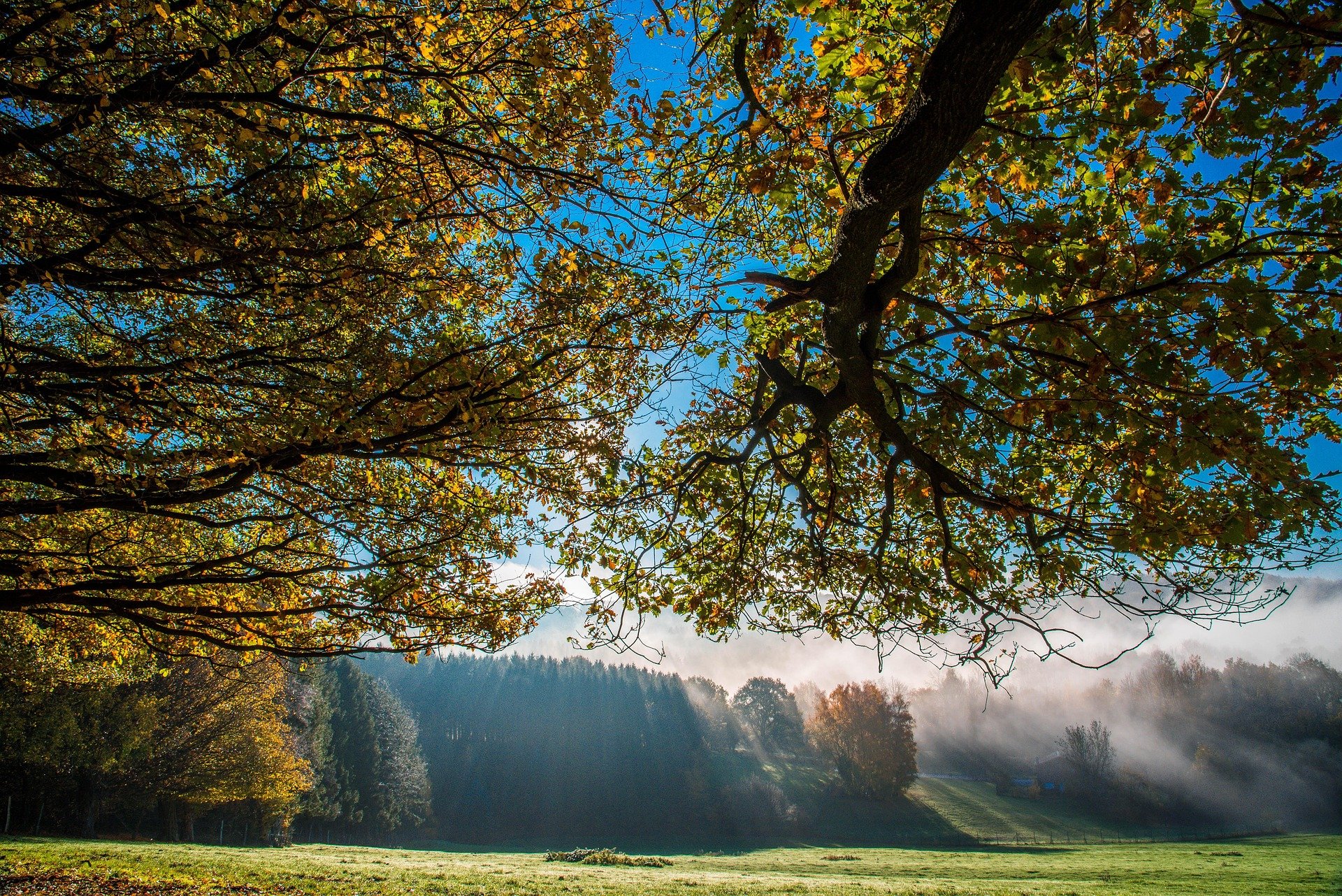 Travaux d'automne