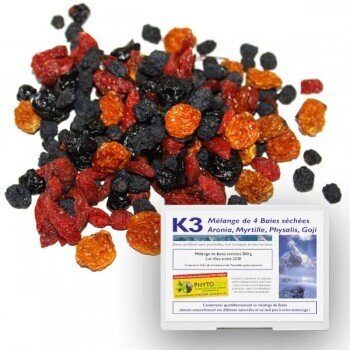 mélange de baies séchées bio riches en nutriments Pack K3