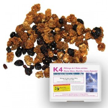 mélange de baies séchées bio riches en nutriments Pack K4