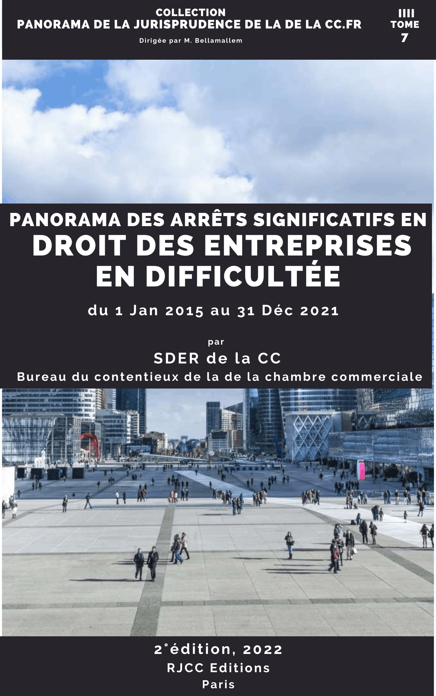 238, Panorama de droit des entreprises en difficultés, 1ed. RJCC, 2022, SDER