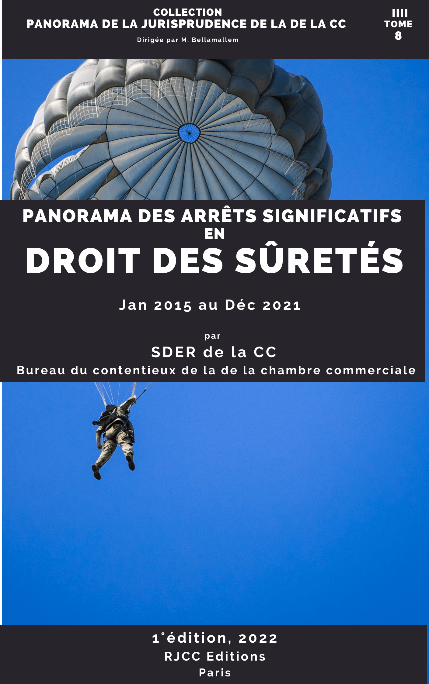 239, Panorama des arrêts de la CC en droit des sûretés, 1ed. RJCC, 2022, SDER